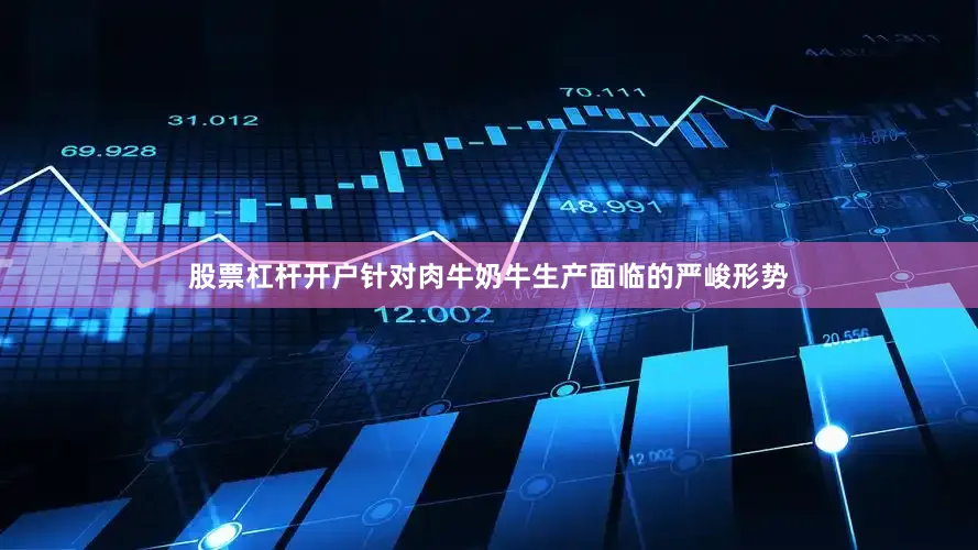 股票杠杆开户针对肉牛奶牛生产面临的严峻形势