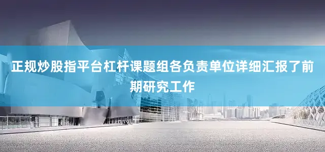 正规炒股指平台杠杆课题组各负责单位详细汇报了前期研究工作