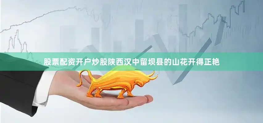 股票配资开户炒股陕西汉中留坝县的山花开得正艳