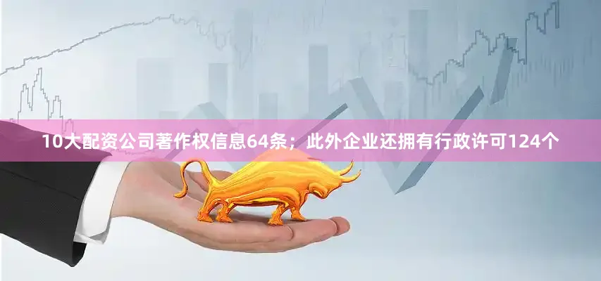 10大配资公司著作权信息64条；此外企业还拥有行政许可124个