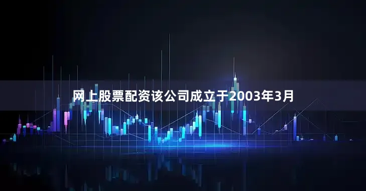 网上股票配资该公司成立于2003年3月