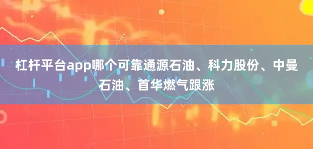 杠杆平台app哪个可靠通源石油、科力股份、中曼石油、首华燃气跟涨